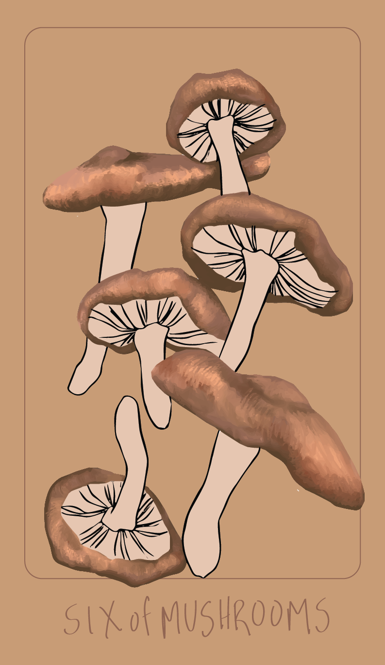 超希少】Herbal and Spiced Culinary Tarot